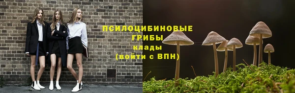 таблы Белокуриха