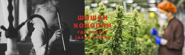 ПСИЛОЦИБИНОВЫЕ ГРИБЫ Балабаново