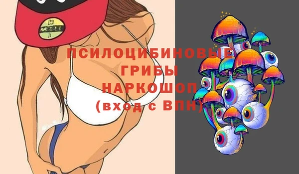 таблы Белокуриха