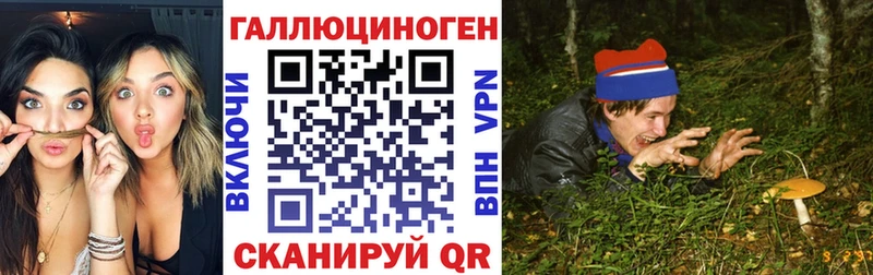 Псилоцибиновые грибы Psilocybine cubensis дарнет шоп Реутов