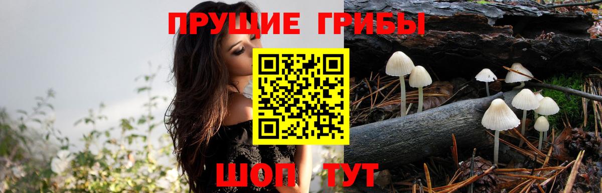Реутов  Галлюциногенные грибы мухоморы  Вход с VPN 